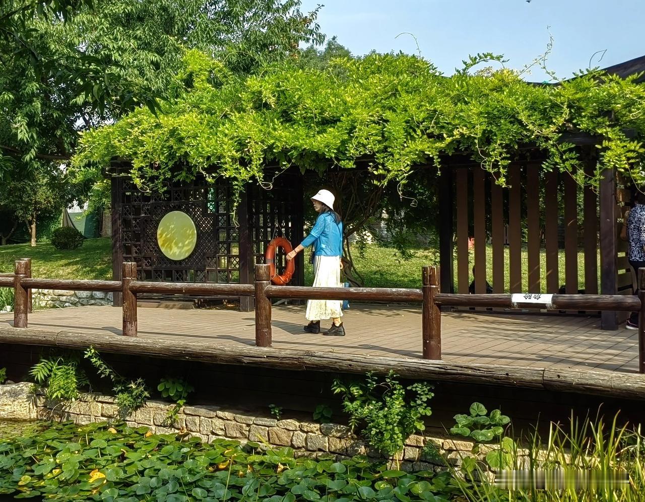 毗邻前门大栅栏鲜鱼口，隐于闹市中的一片净土——三里河公园，小桥、流水、喷泉，鸡鸭