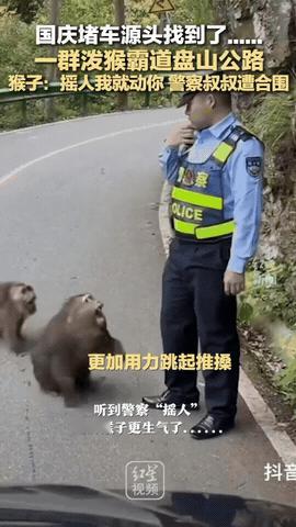 马路上拥堵了，
交警在执勤，
没想到是三只猴子惹的祸，
合力围攻他，
连扑带拽的