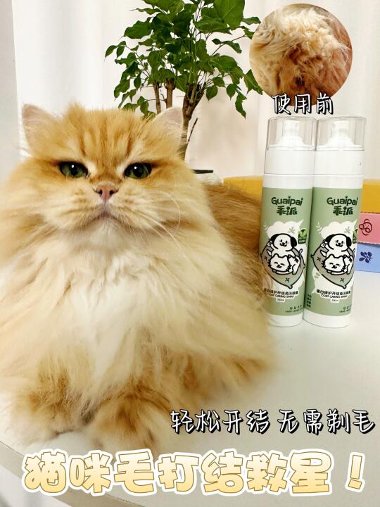 震惊！猫毛打结竟然还能这样做