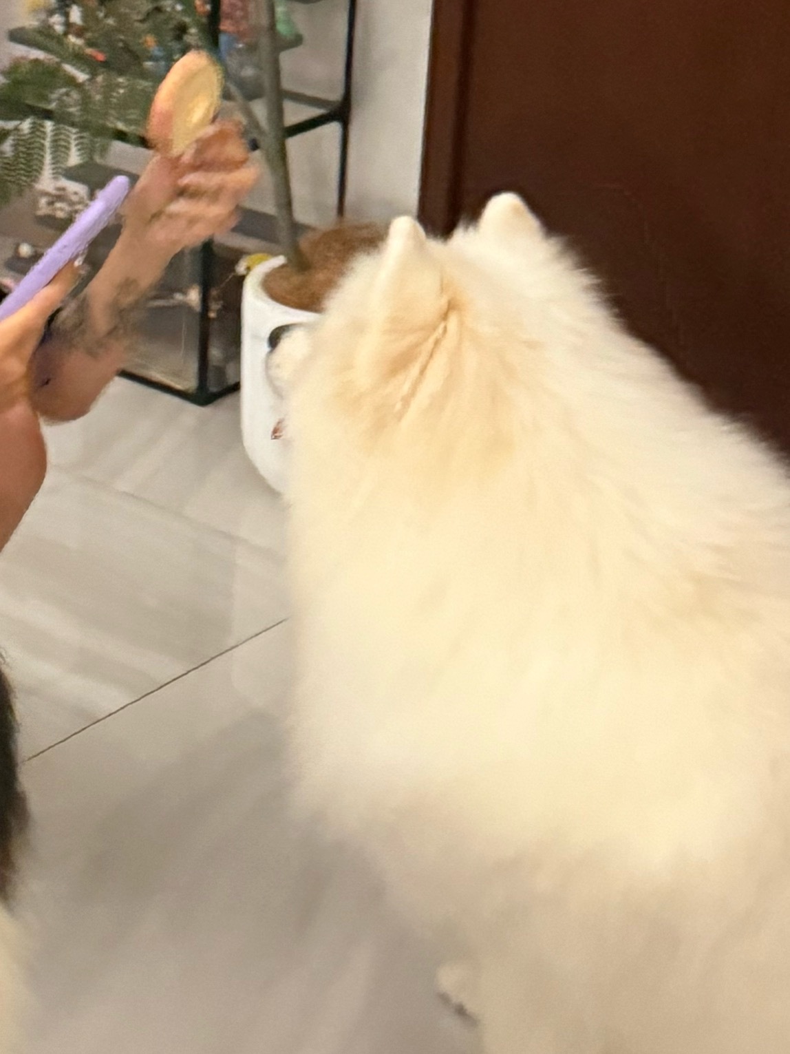 这个专注力怎么说…… 