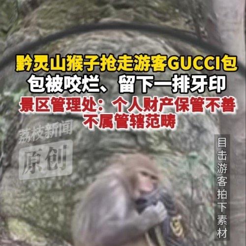 刷到个特别闹心的新闻，有个游客去贵阳黔灵山公园玩，好好走着被山上的猴子突然冲出来