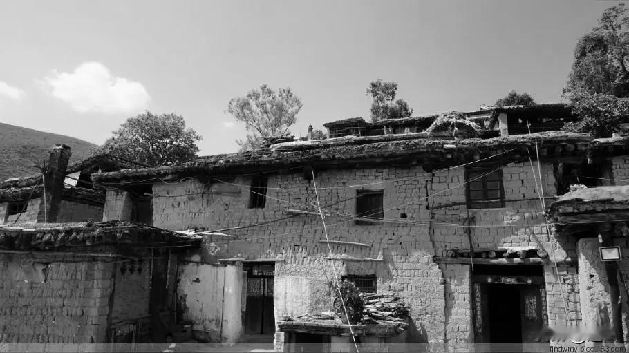 老车进了村，忙坏了山里人，割奌草喂老车。开车老头哭笑不得，老车喝油，不吃草。山里