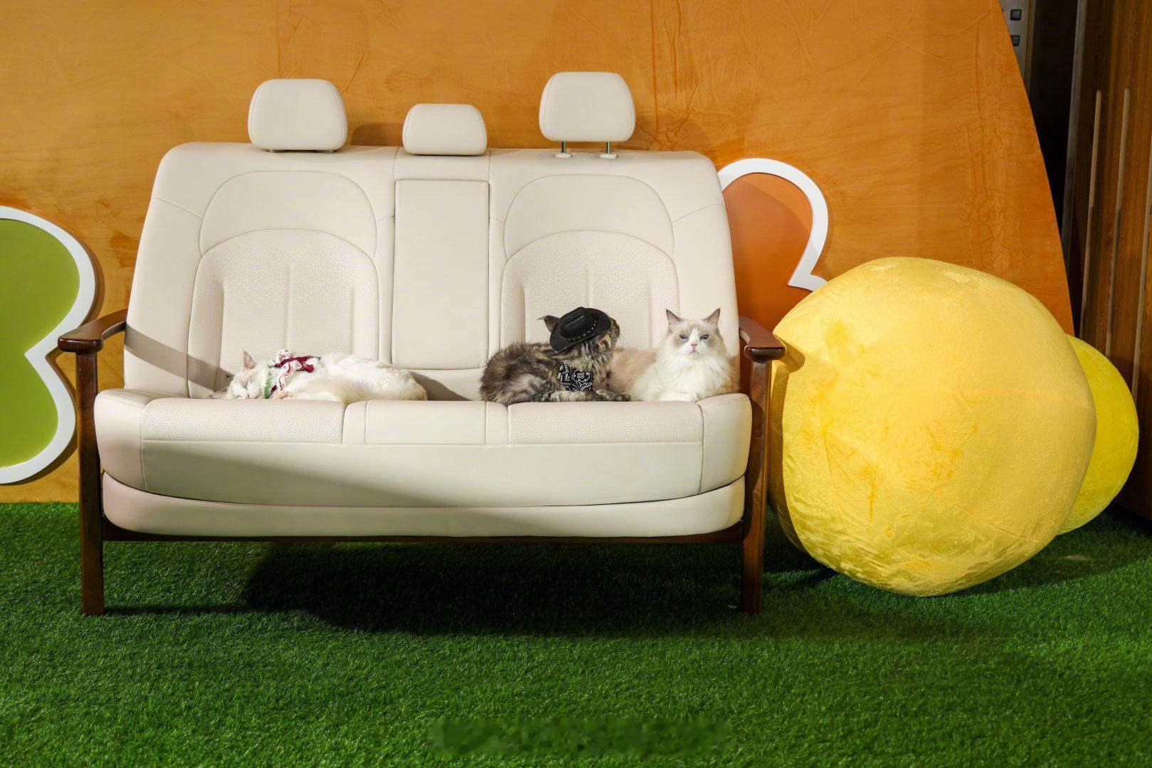 开箱百万级后排大沙发日产沙发厂的名头怎么来的呢？到日产，很多人第一反应就是轩逸的