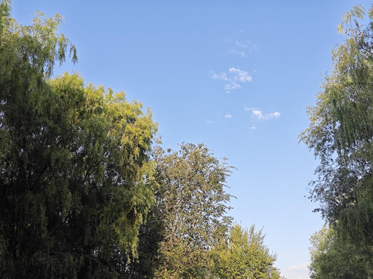 堂姐的婚变，我其实全程都知道。她每次跟堂姐夫吵架，都要给我打电话。不是那种哭哭啼