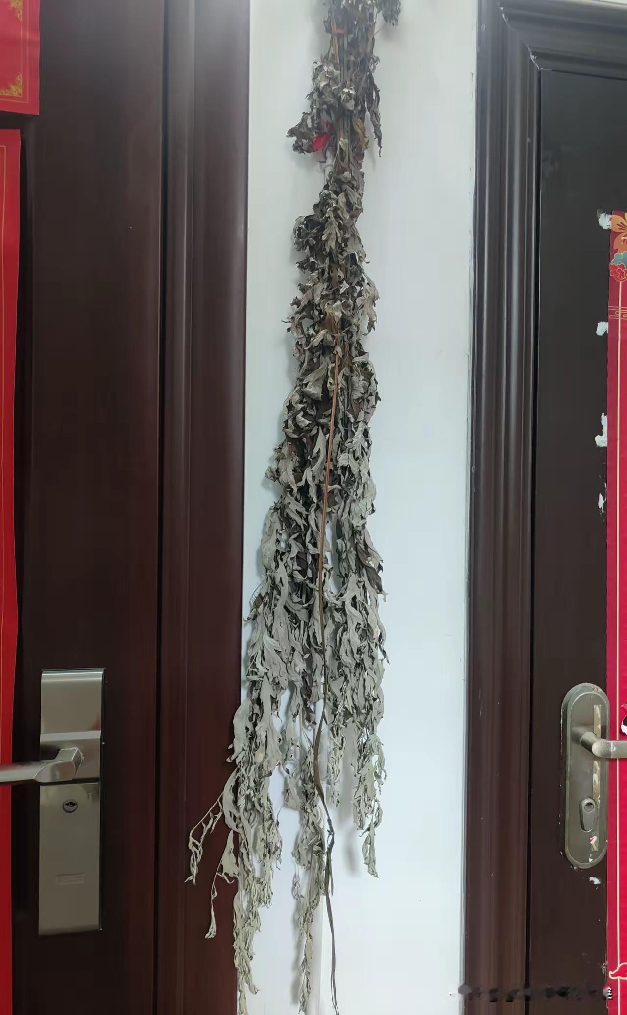 今天我把门口挂了快一个月的艾草取下来了。

手指刚触到那干枯发脆的叶片，它就这么