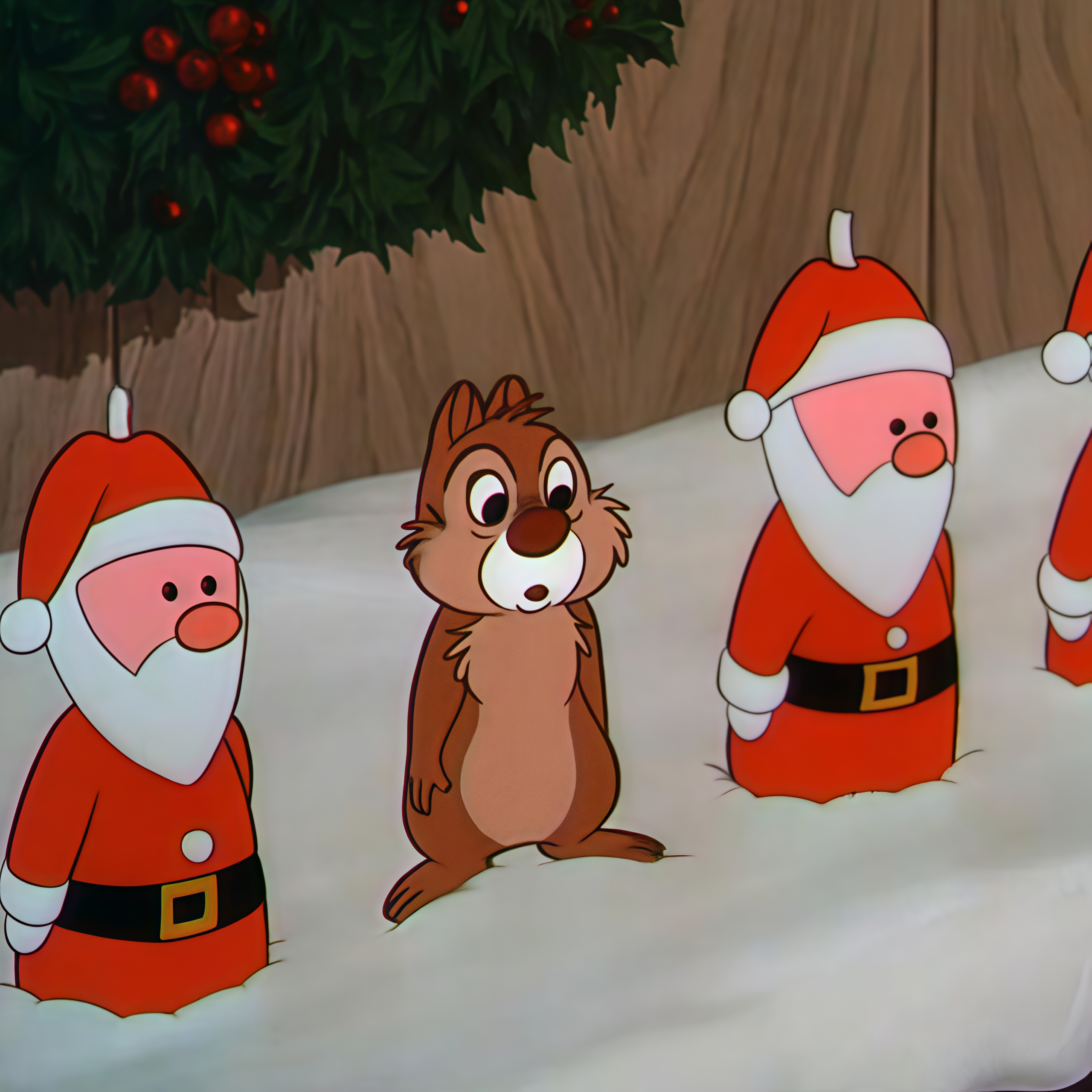 🤎 奇奇和蒂蒂！ 