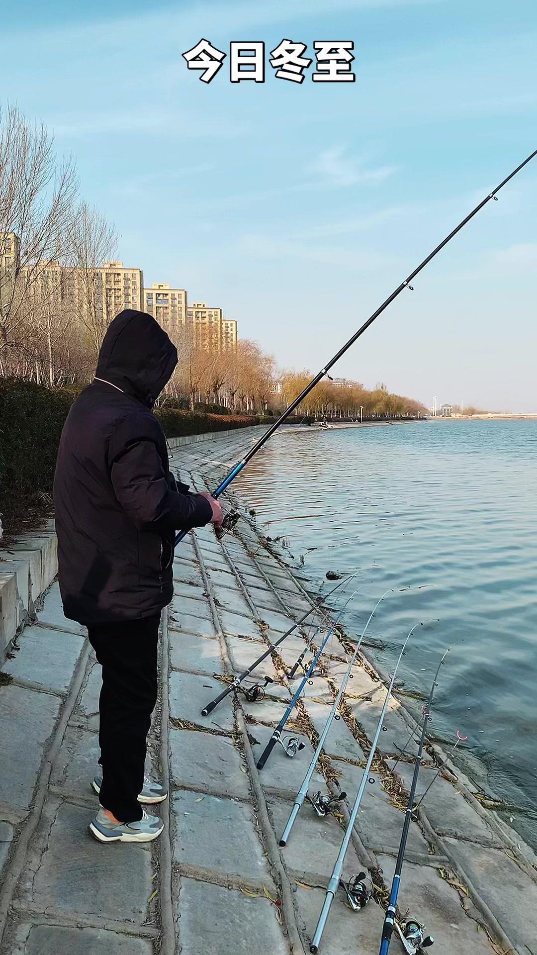 🌿冬至的宋金河太治愈了！斜阳铺在河面，碎成银鳞，残柳间竟藏着若有似无的绿意。高