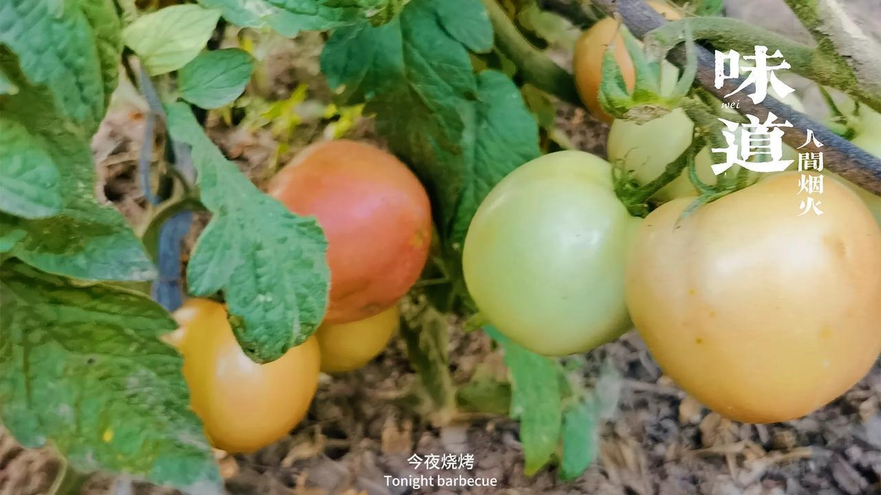 现在有许多人都对吃的东西感到不放心，但又无可奈何。我同样是这其中的一员，但是我现