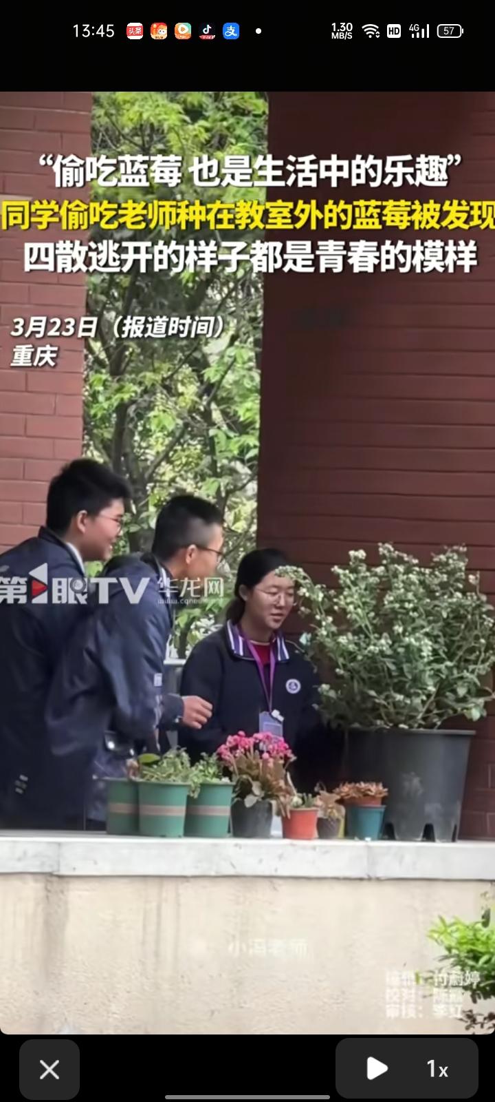 3月21日，重庆。学生们偷吃种在教室外的蓝莓被老师发现，四散逃开的样子都是青春的