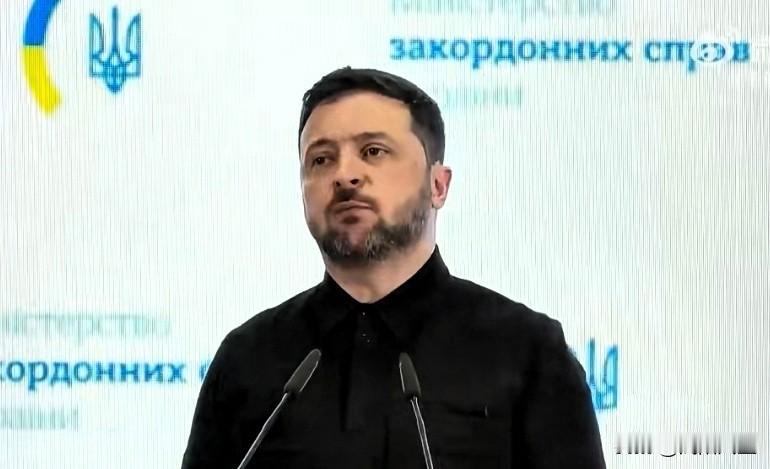 泽连斯基:“德国人和美国人确实想促成一次局部停火（圣诞节期间），并非是为了结束战