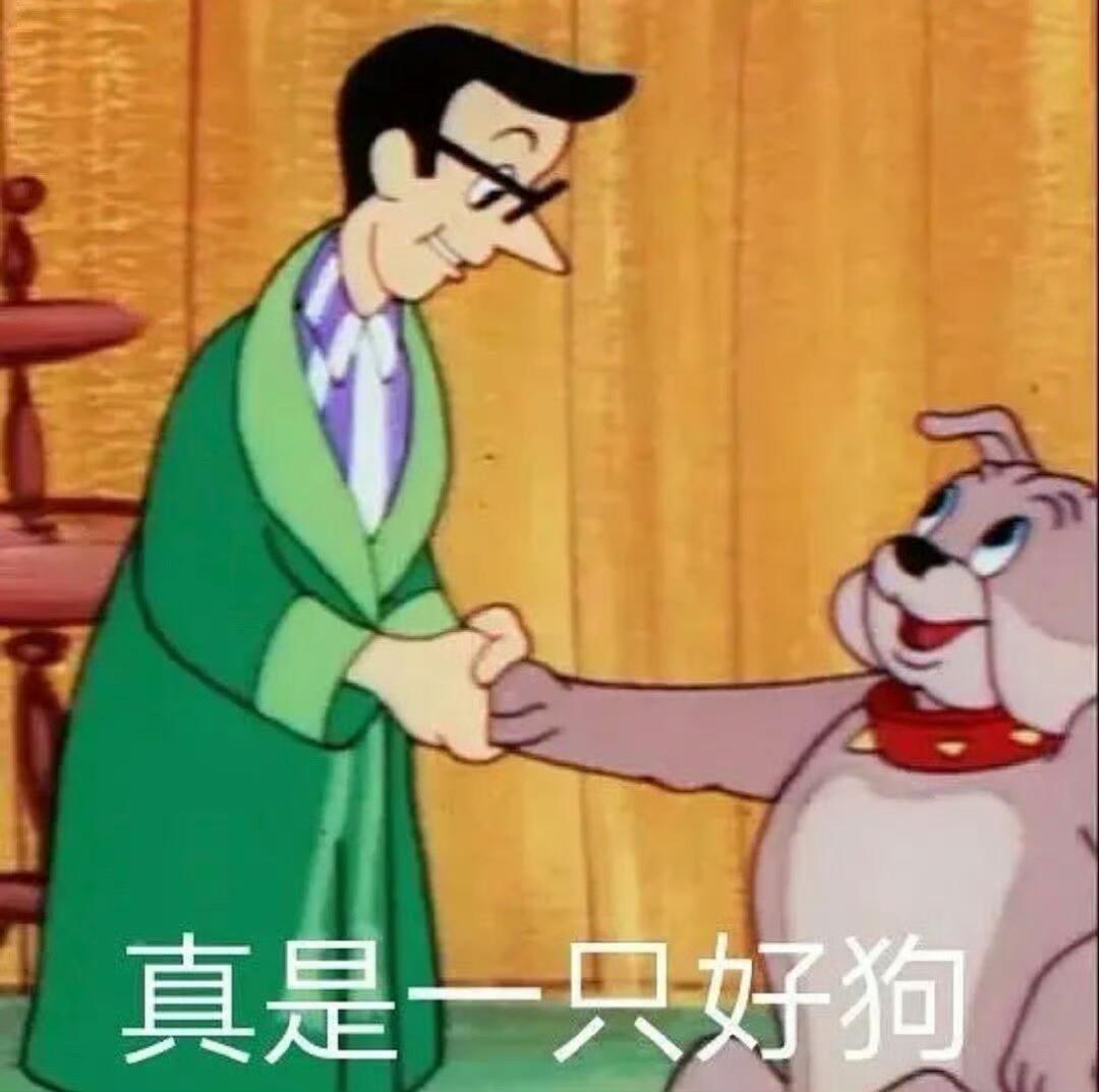 近期爱用的表情包 ​​​
