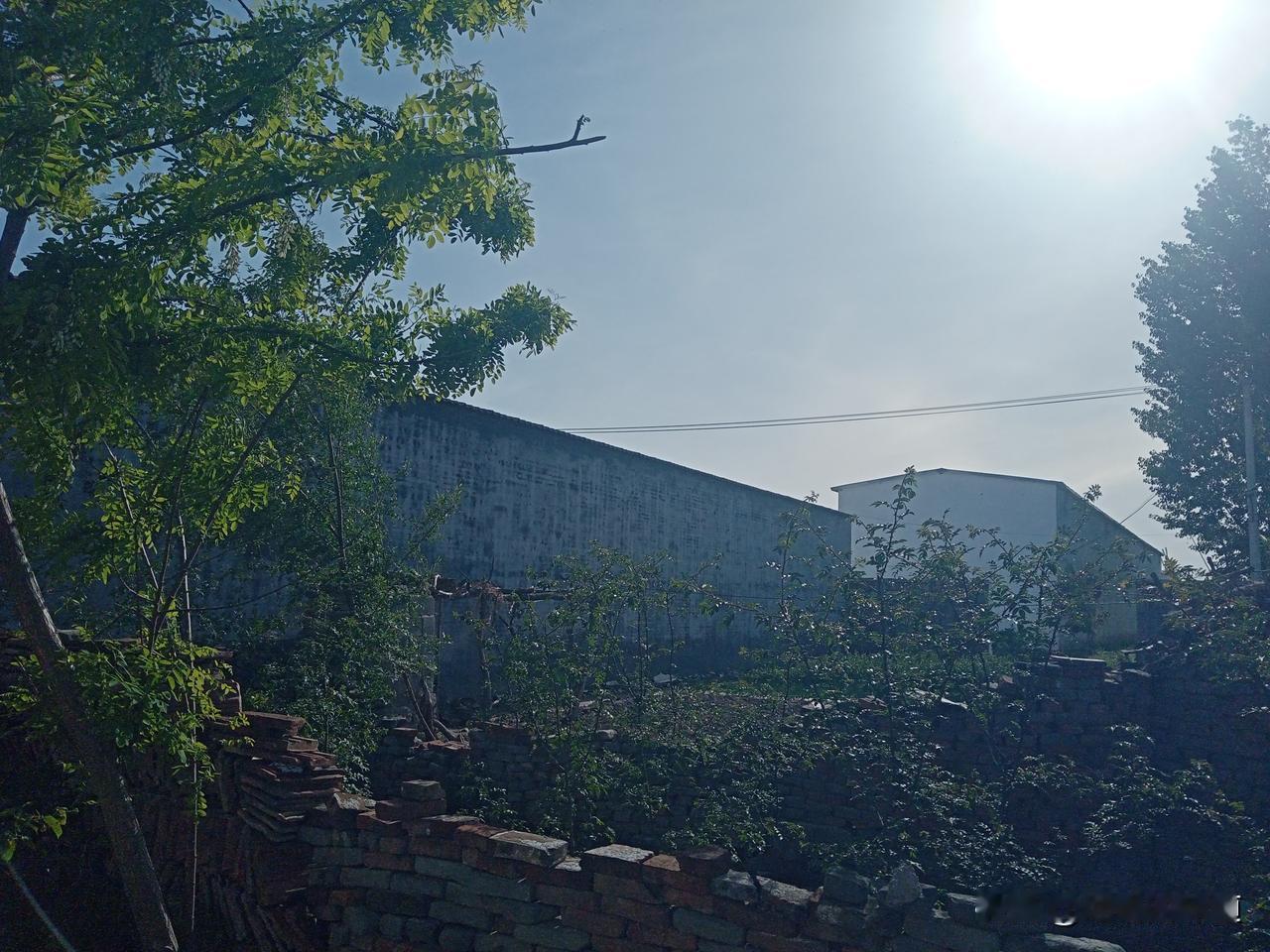 老农谚
雨水多不多，就看三月十五
雨落三月半，四十五天难晴天
三月十五是雨天，芒