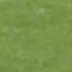 2026中超联赛首轮角逐，浙江队主场2-0击败青岛西海岸，此役小将王钰栋贡献1次