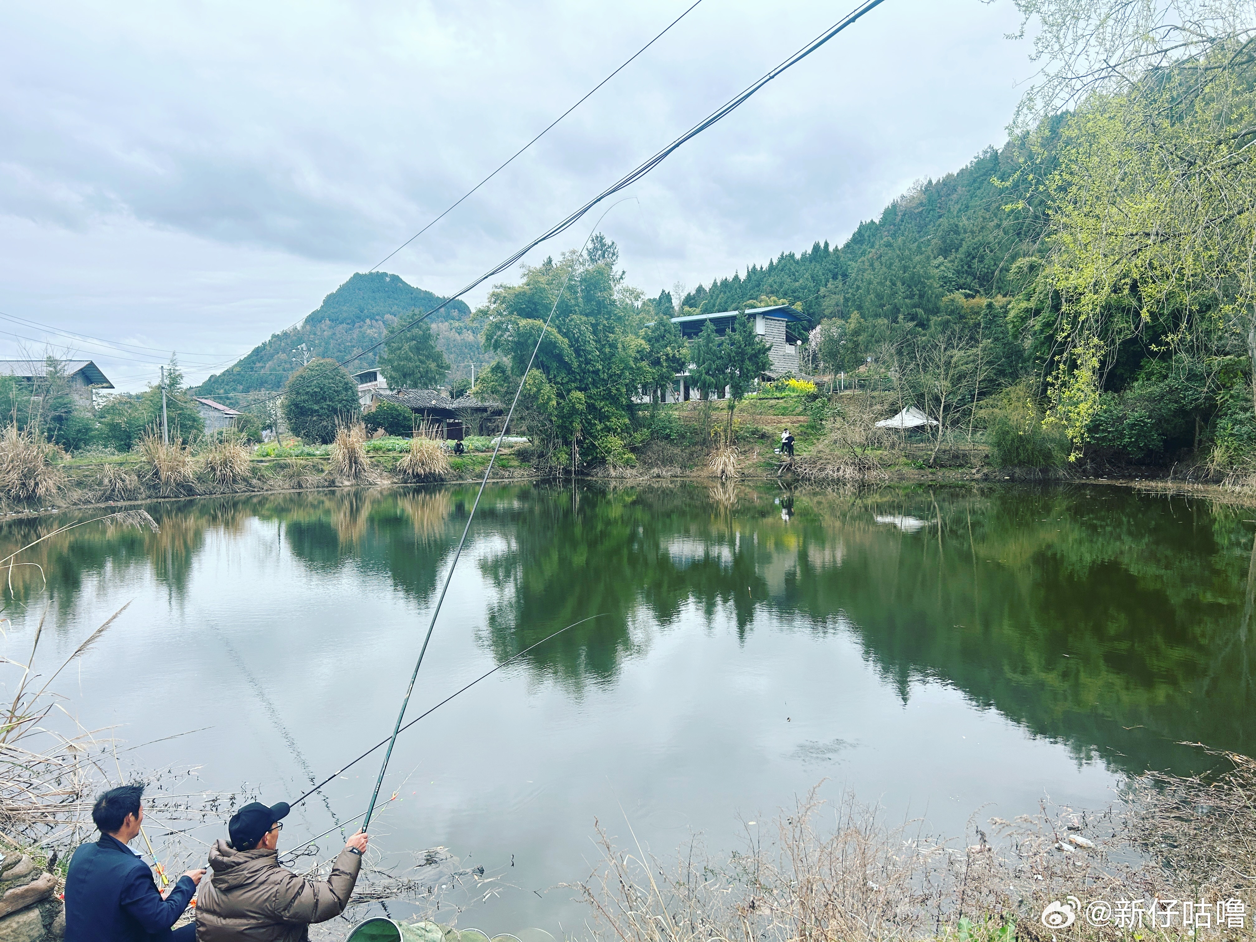 吃完午饭，我去田边转了一圈。春风轻轻吹着，一眼望去，生机勃勃，柳树发芽，菜花一片