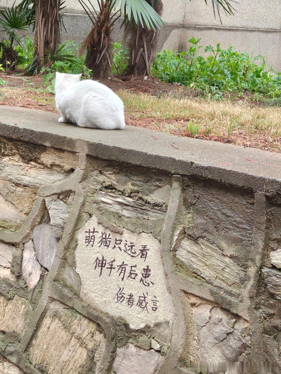 49579【心灵丑】如图： 
