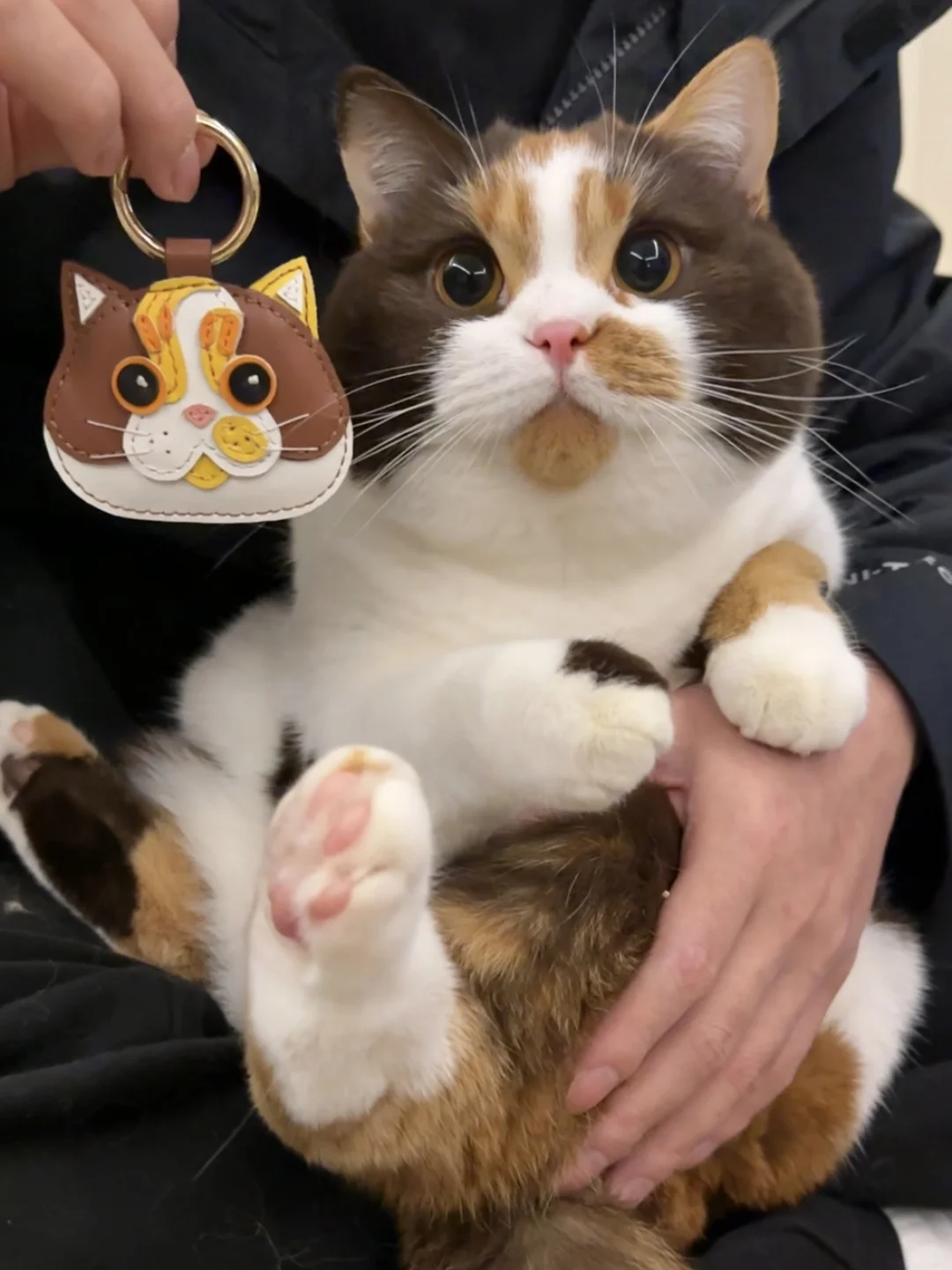 宝宝你是个融化的巧克力蛋糕