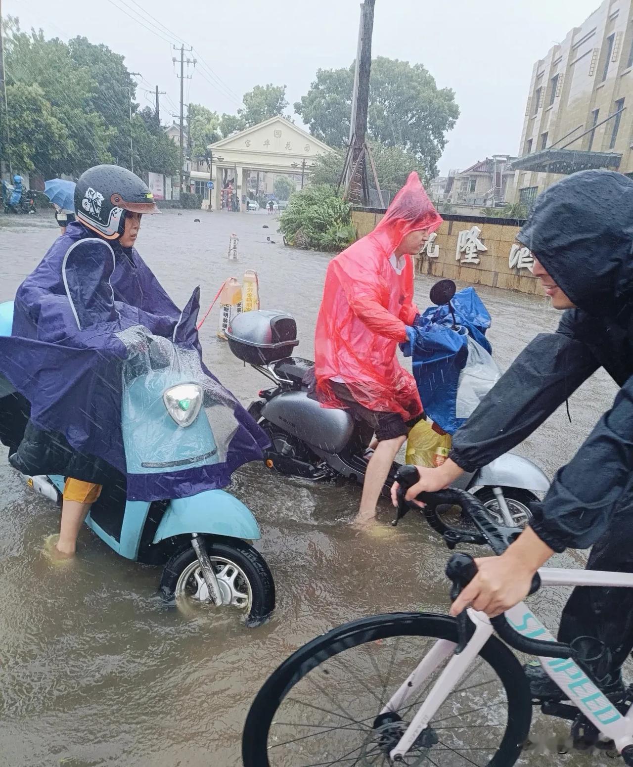 上海变“海上”，武康大楼成了船🔥，可打工人的“避风港”在哪⁉️
受台风白海豚中
