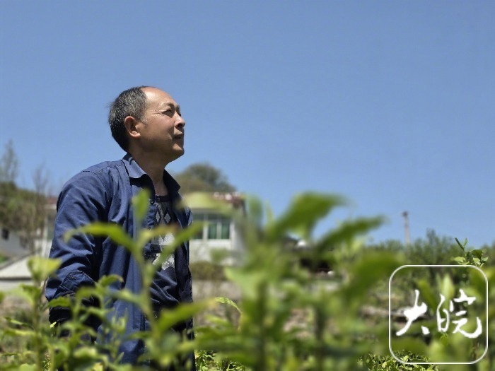 #十年逐梦#【#从15岁翻山卖茶到带富全村#】15岁时，汪达海就翻越马鬃岭去卖茶