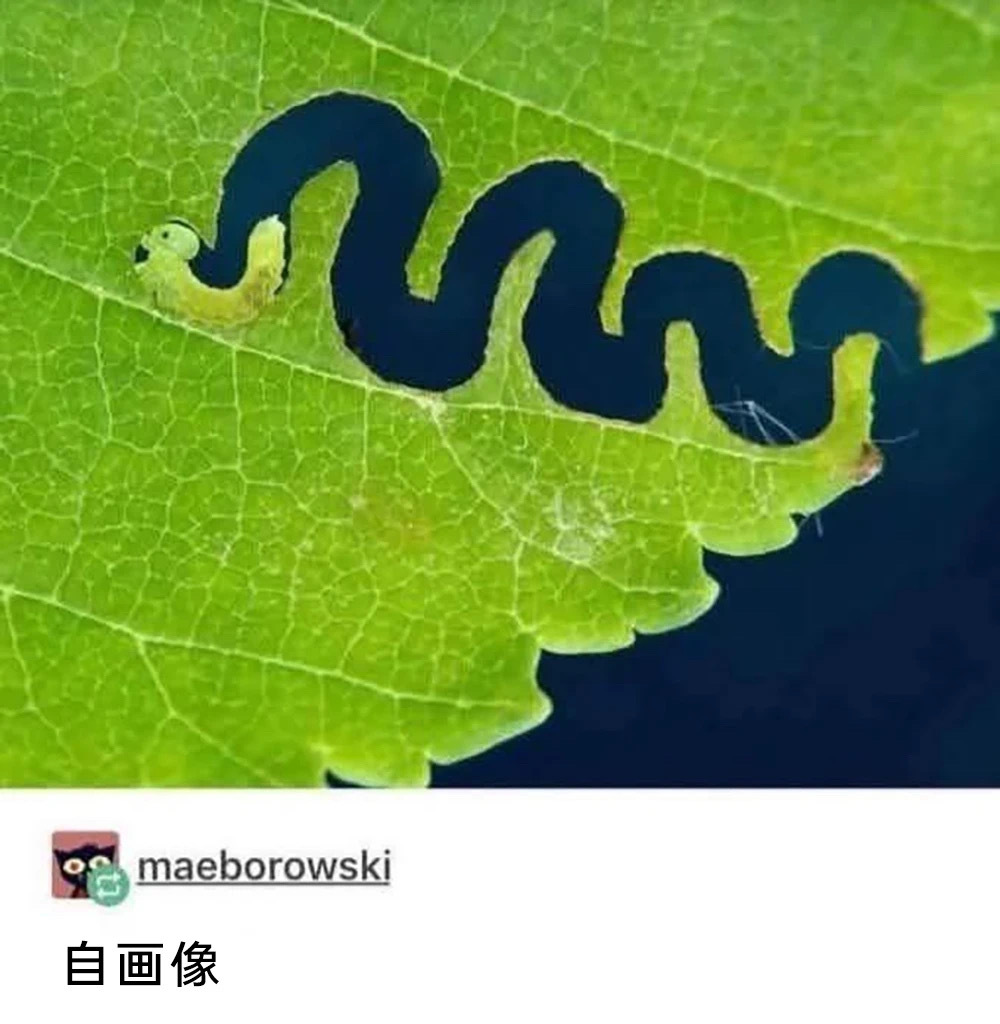 可爱捏 ​​​