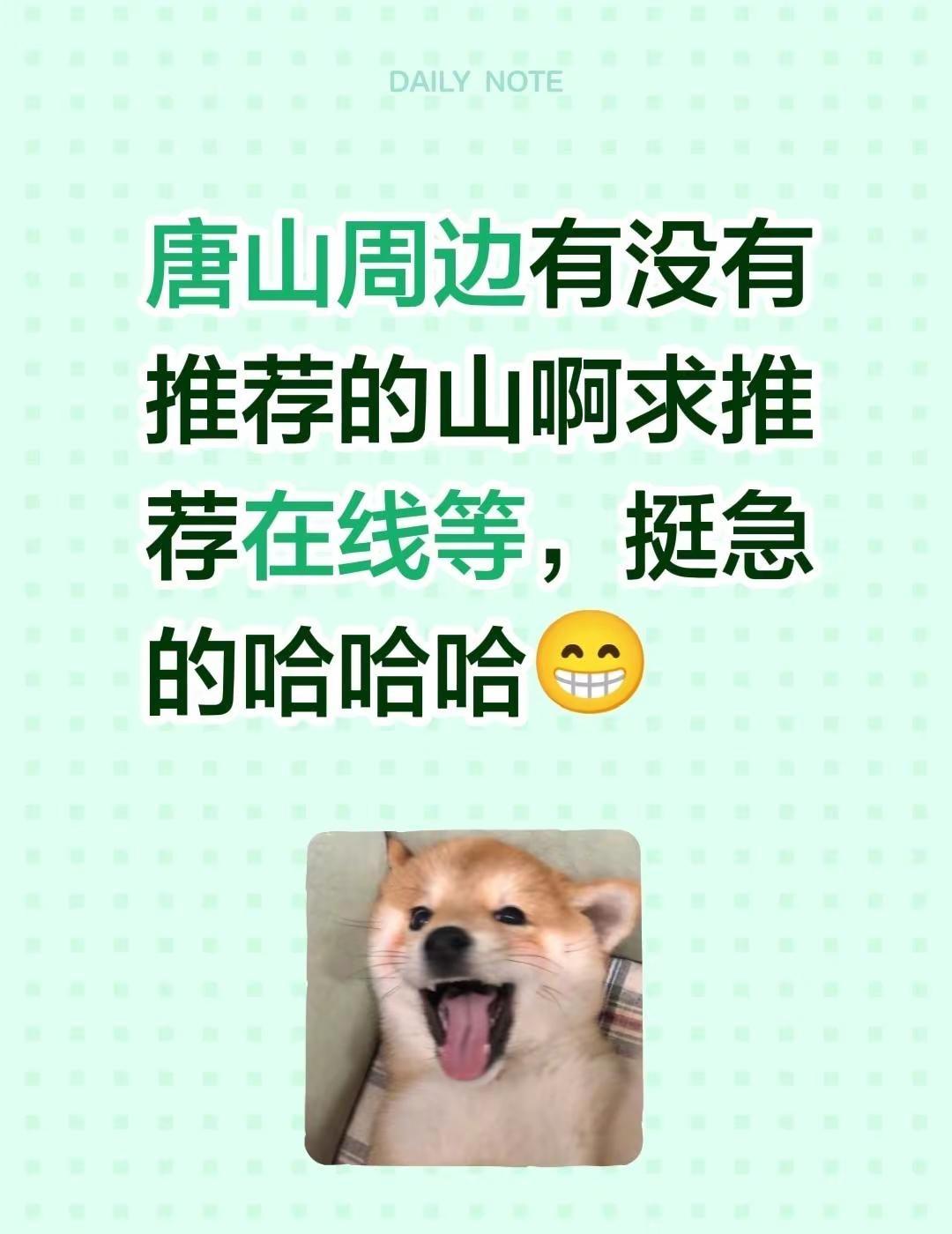 唐山周边有没有推荐的山啊求推荐在线等，挺急的哈哈哈😁唐山同城 河北唐山 唐山唐