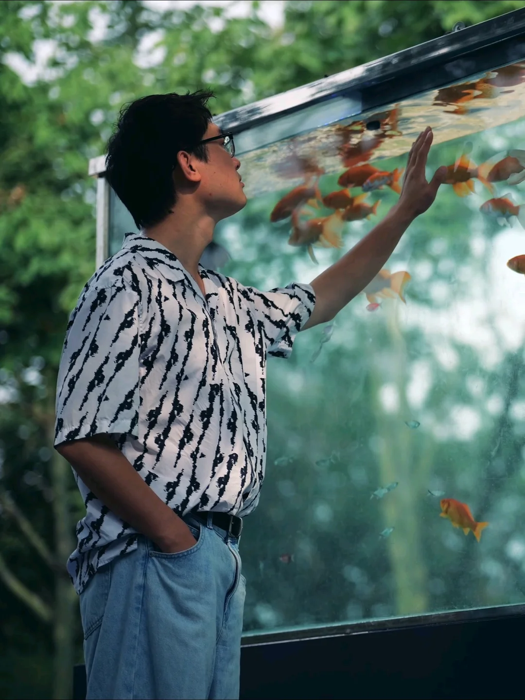 实况live|昆山有自己的金鱼森林好梦幻