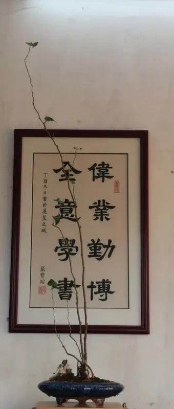 《山居闲吟》乐韵诗心原创诗词:
纷扰浮名皆看淡，
心开意远自悠然。
闲观落叶随风