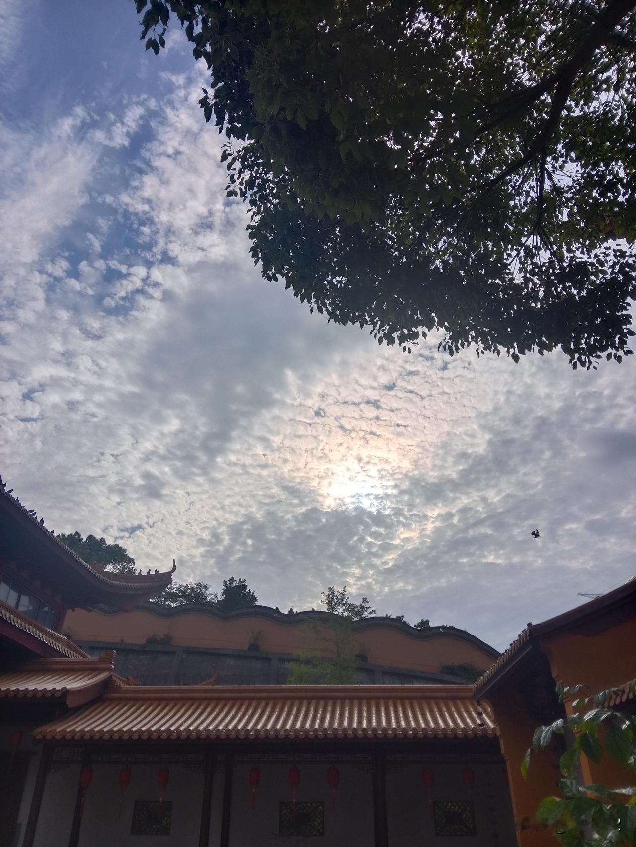 但是日本球队的表现，确实像苍蝇一样，飞在中国国足的饭碗里。最近有权威的前足球国脚