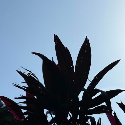 最高检：开展治理欠薪冬季专项行动   传递出4个重要信号
 
近日，最高检部署开