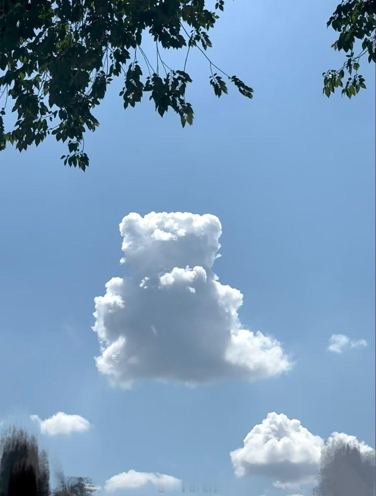 今天被一朵小熊云萌到了☁️ 