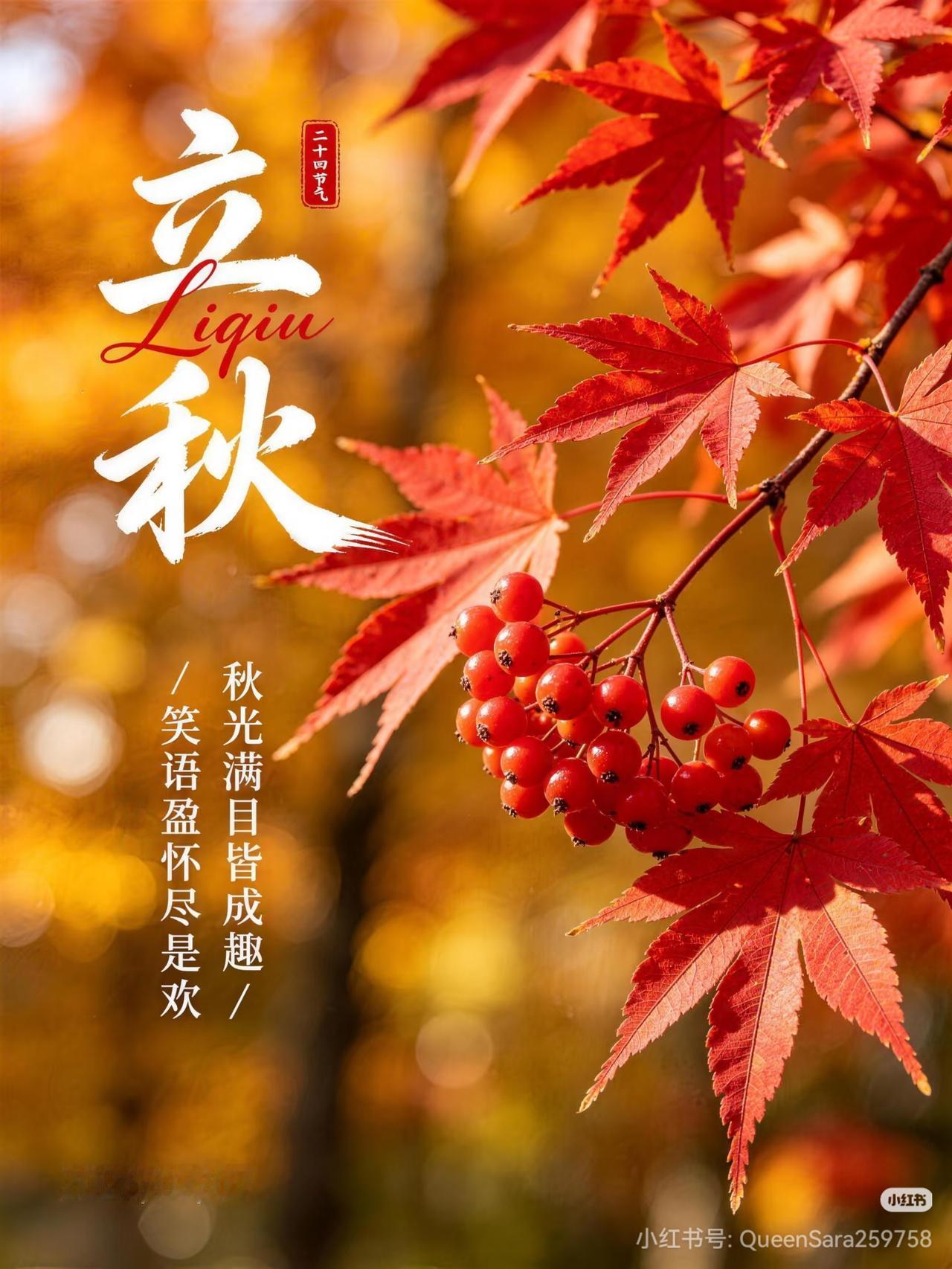 枫叶红，秋意浓。今日立秋