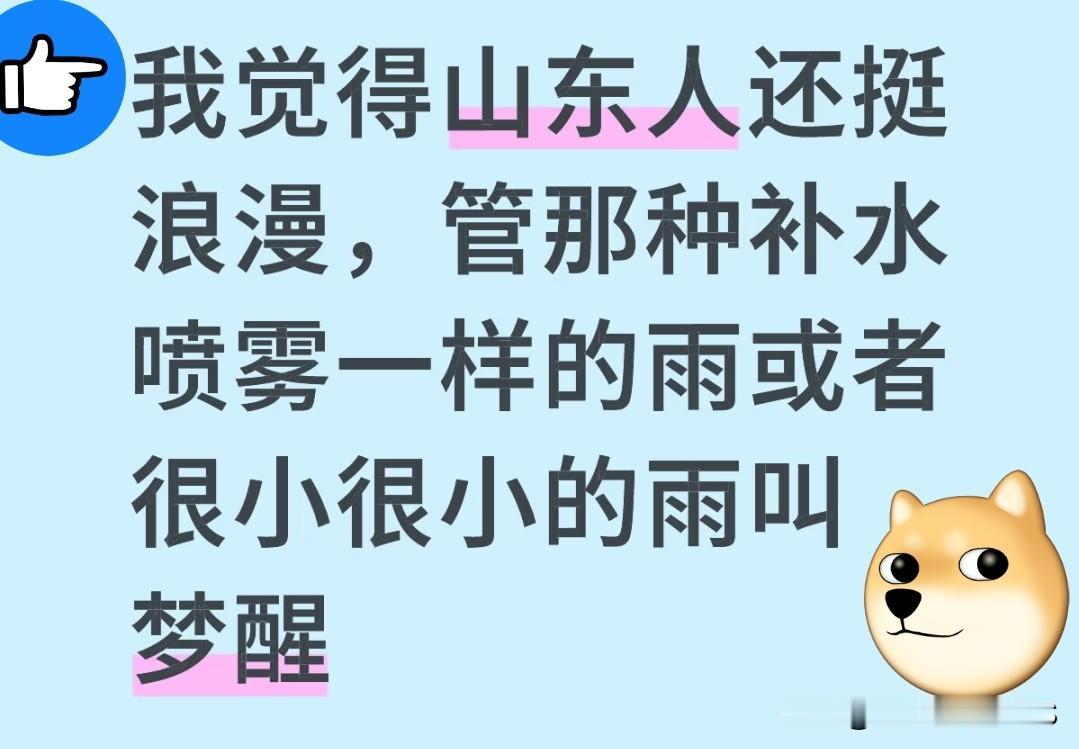说一句你认为最难懂的家乡话你知道吗？山东人称呼毛毛雨为“梦醒”，是不是超有意境！