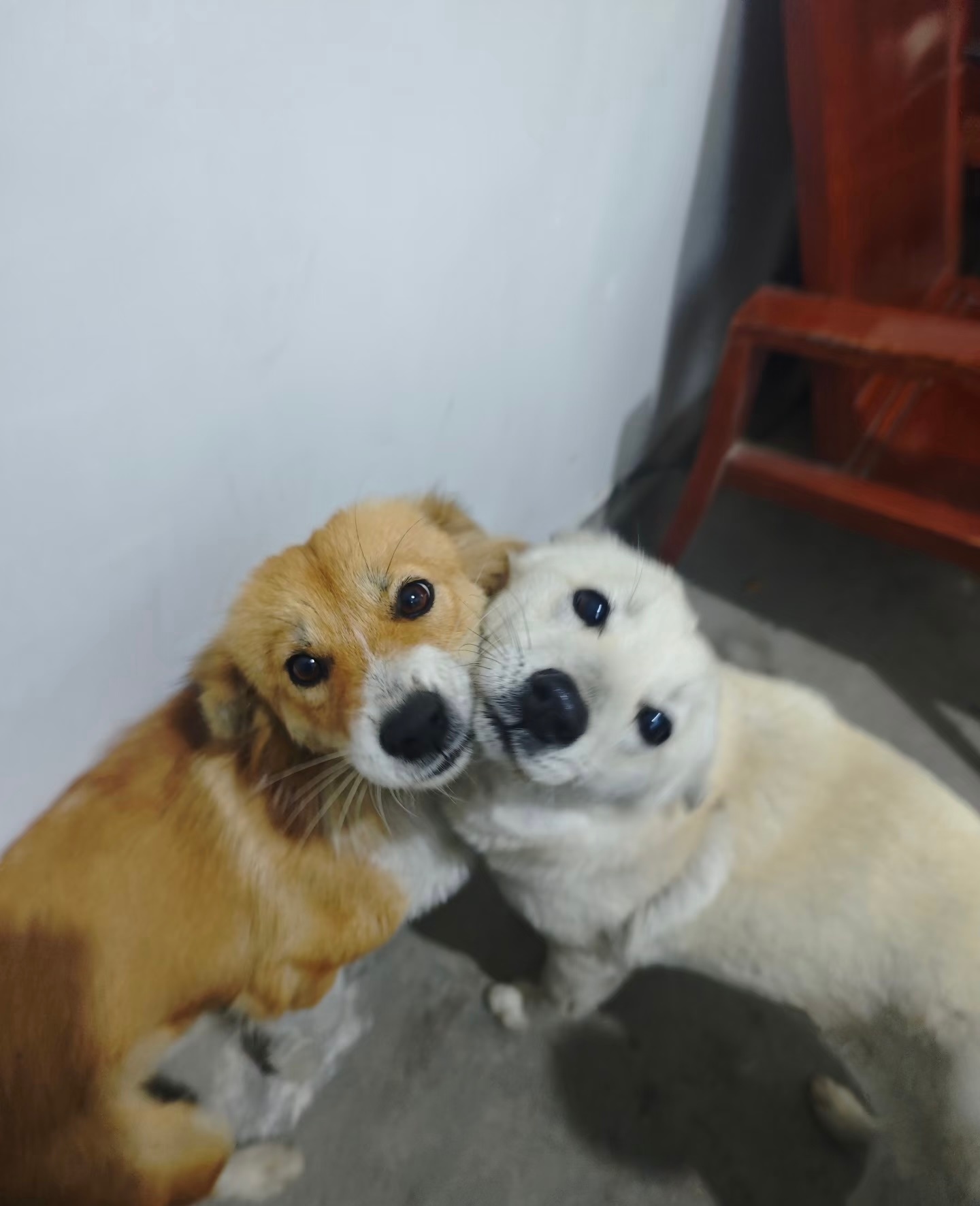 我俩天下第一最最好 