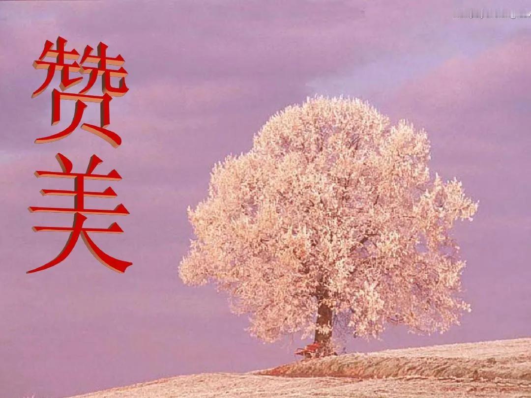 有人问我社会需要赞美者，还是批判者？
我个人认为两者都需要。社会向好的一面当然要