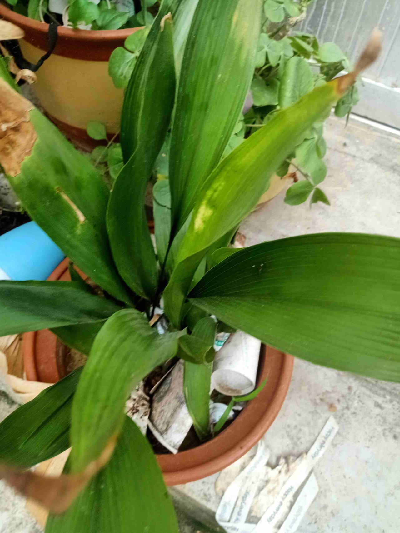 我的今日状态：💪🏻充满干劲
我这里的天气：🌤️多云