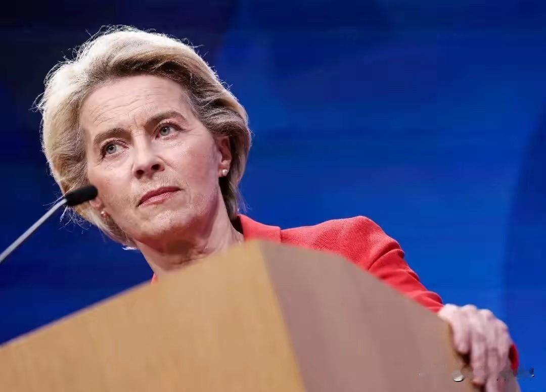 白宫通告全球，中美达成大交易，话音刚落，欧盟找上中国讨要好处

中美敲定大交易！