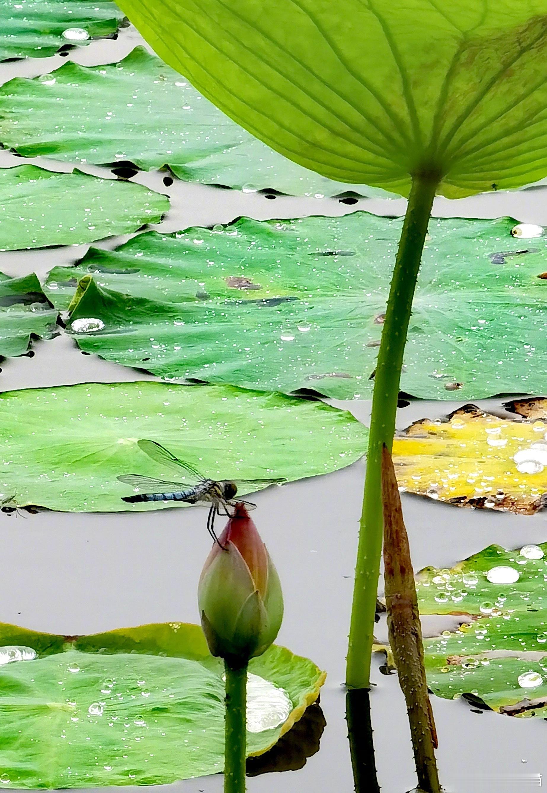前年，有位本地钓友约我去千岛湖钓鱼，还来我楼下接我。当时他驾龄6年，拥有自家车5