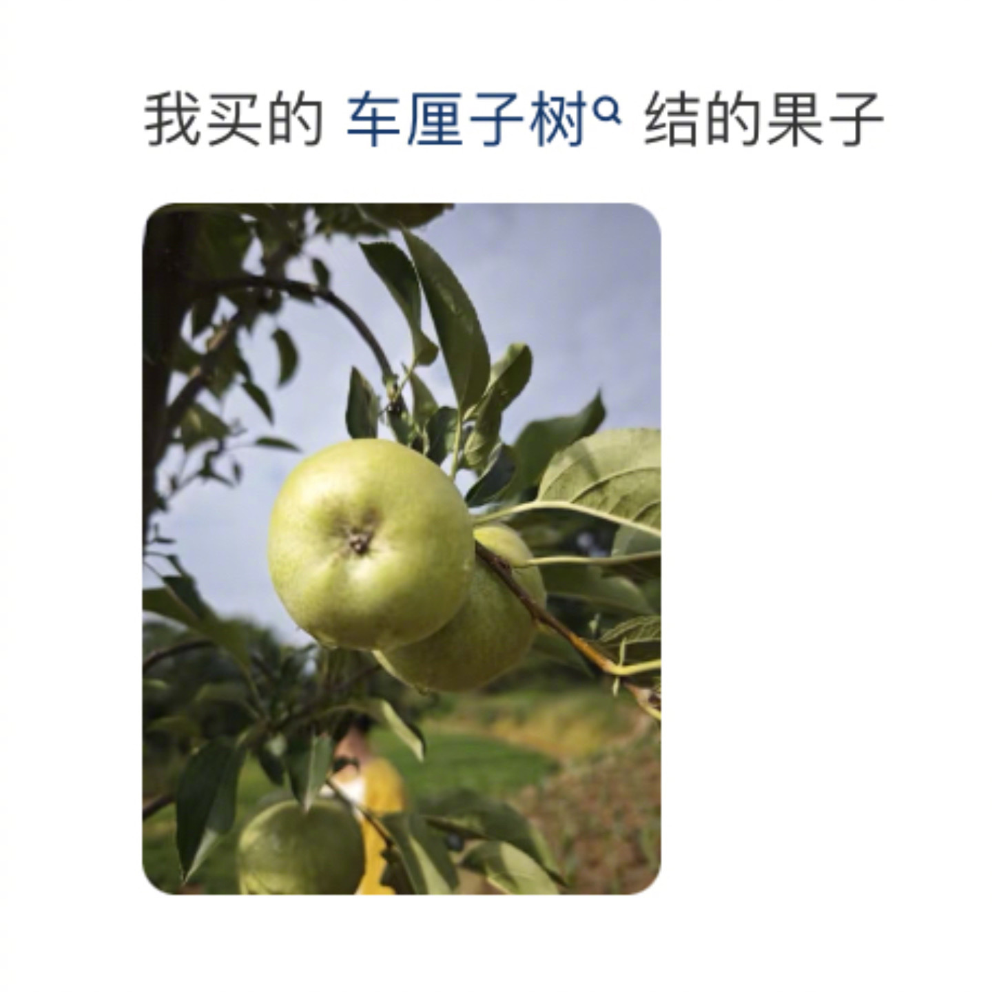 种东西才是真正的开盲盒