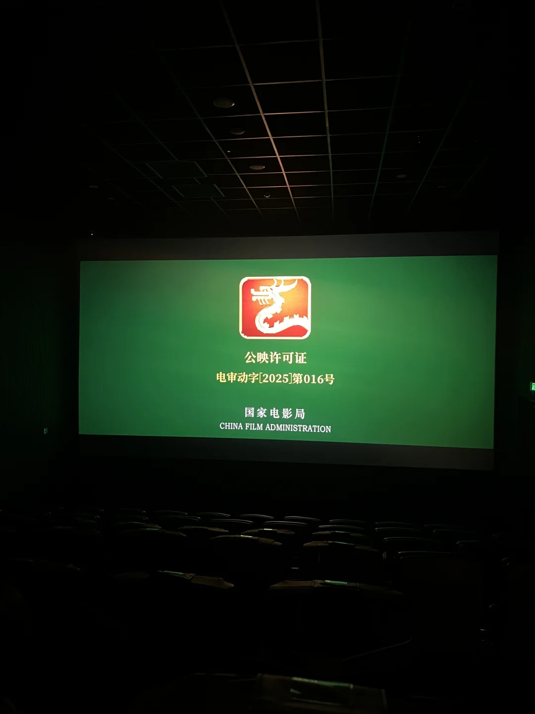 有人晕电影吗？看了一会儿就想吐