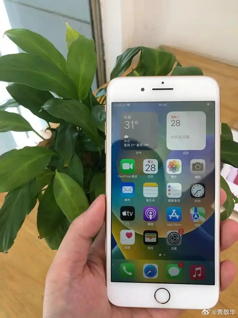 我有一位用iPhone8 Plus的朋友，还有一位朋友在用荣耀30。问他们什么时