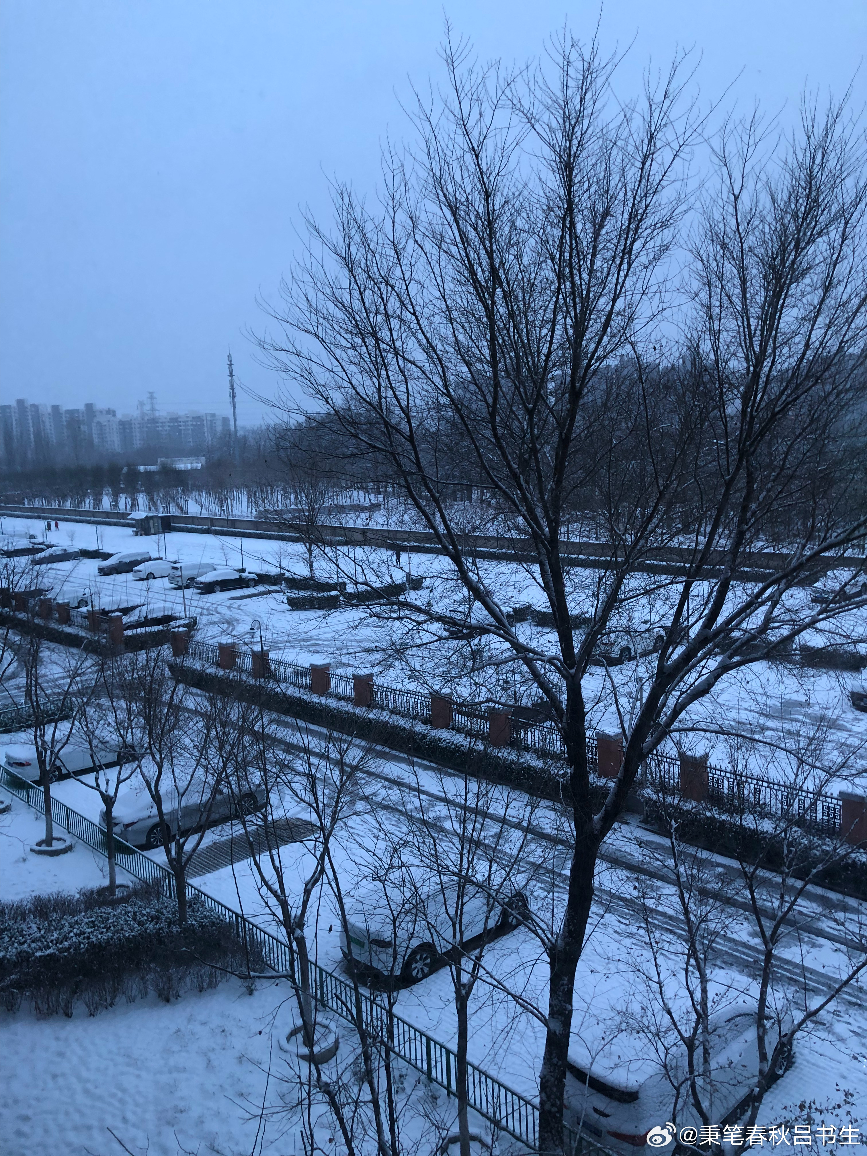 #北京下雪#这雪下得好大诶，北国风光 ​​​