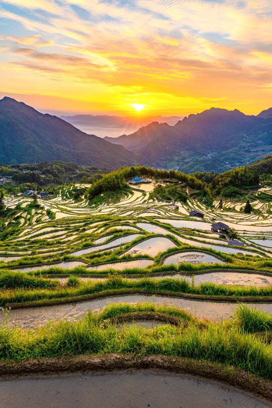 人生建议！在江浙沪也有那么美的梯田日出❗