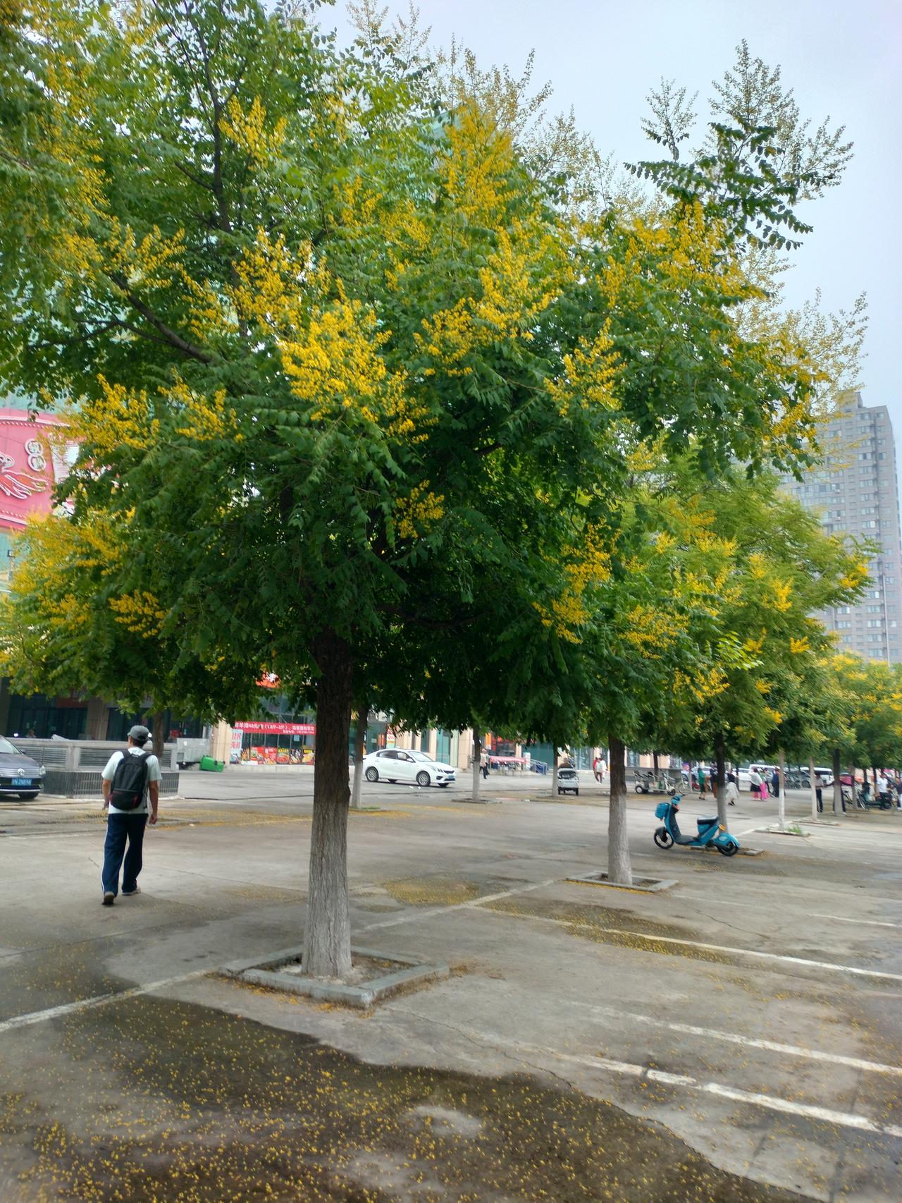如何把平凡的日子过得有滋味每天把时间安排好，做自己喜欢吃的饭菜，每天出去运动，去