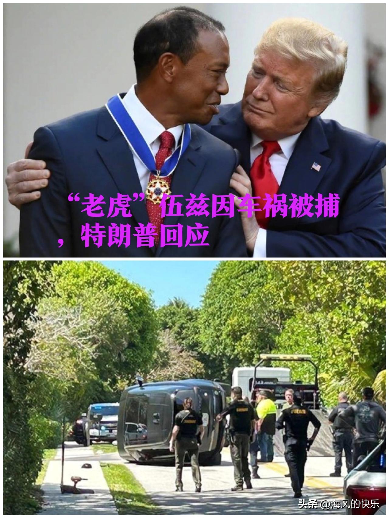 “老虎”伍兹因车祸被捕，特朗普回应

   据外媒报道北京时间3月28日，美国高