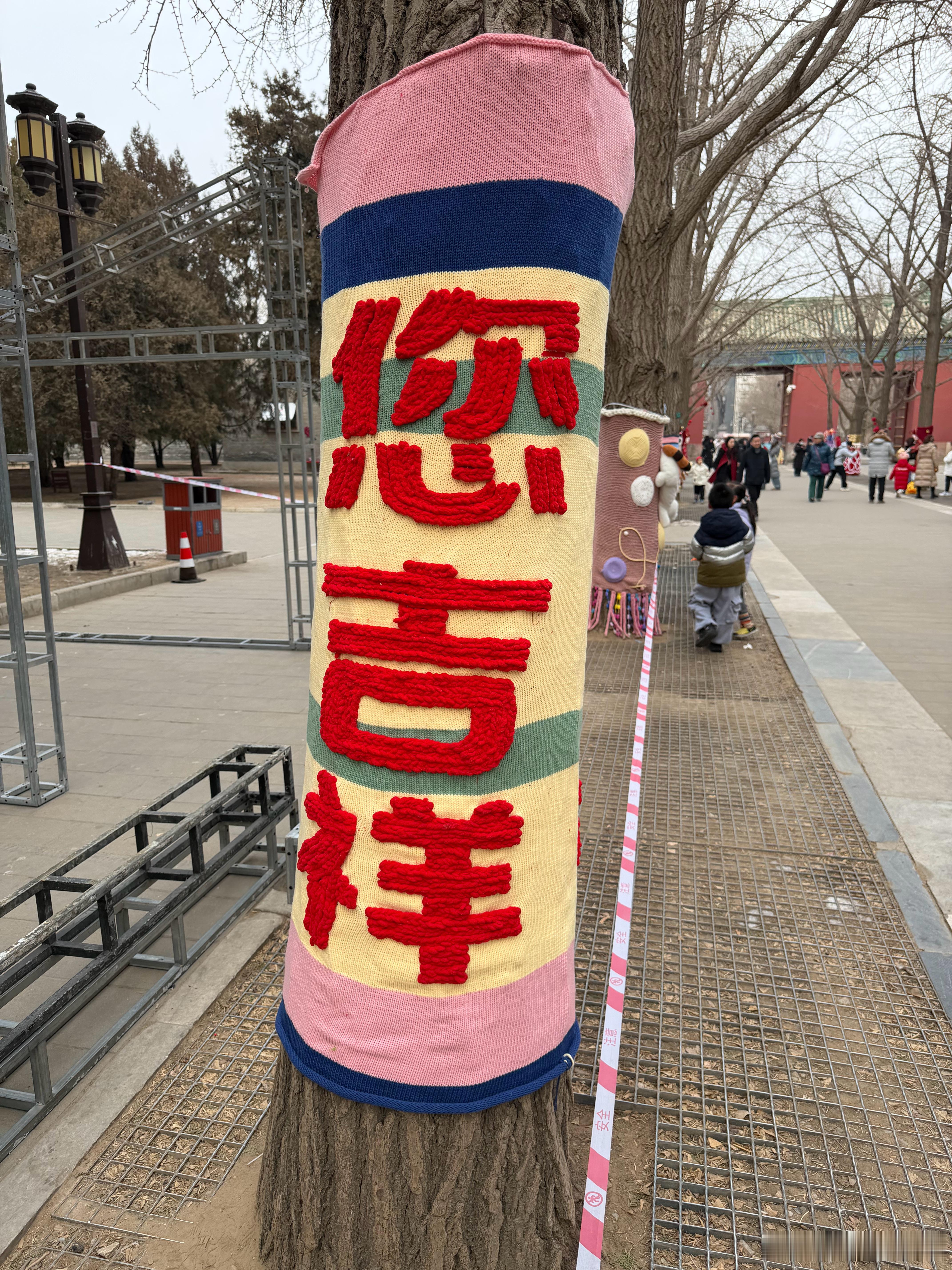 地坛银杏大道的树穿上衣服了 