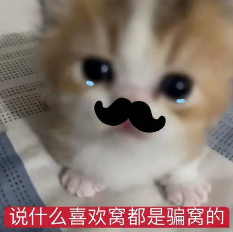 今天真的没有人想夸夸这个萌萌的梨梨吗？我会伤心的老婆们🥺你们忍心吗 