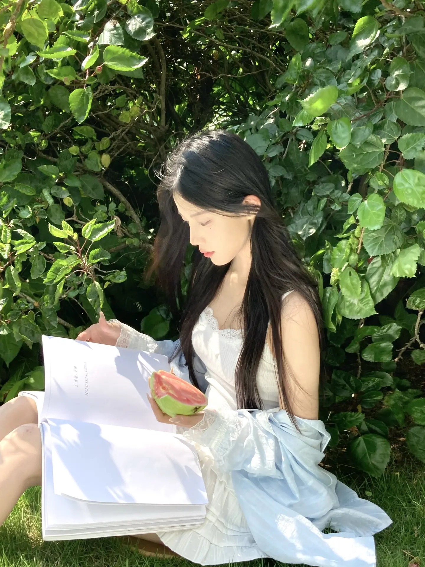 夏日 微风 草地🍃