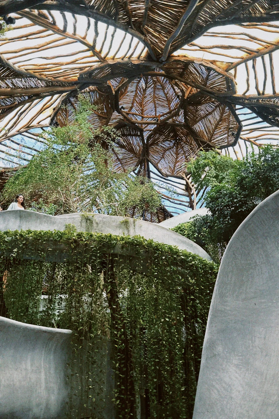 图卢姆最迷人空间，一座没有直角的博物馆