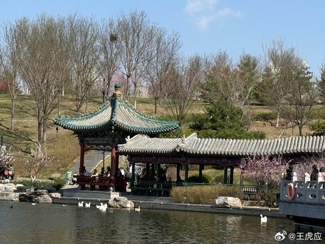 看风景也是修心 