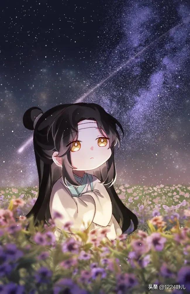 一颗流星划过......
蓝忘机虔诚许愿：让魏婴回来。
一颗流星又划过.....
