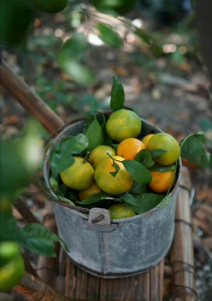 生活就是做简单的事 …  ”